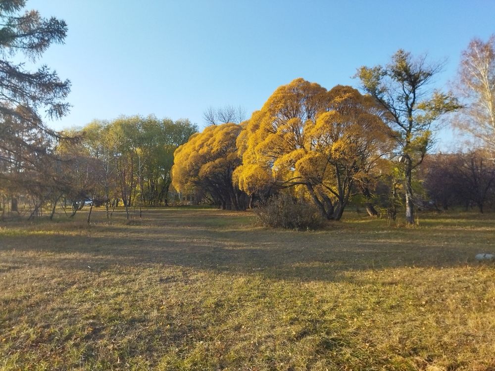 Photo #8586107