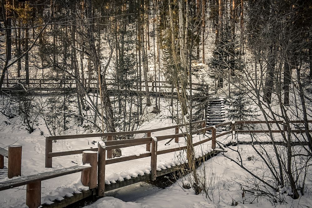 Photograph by Ольга Пономарева