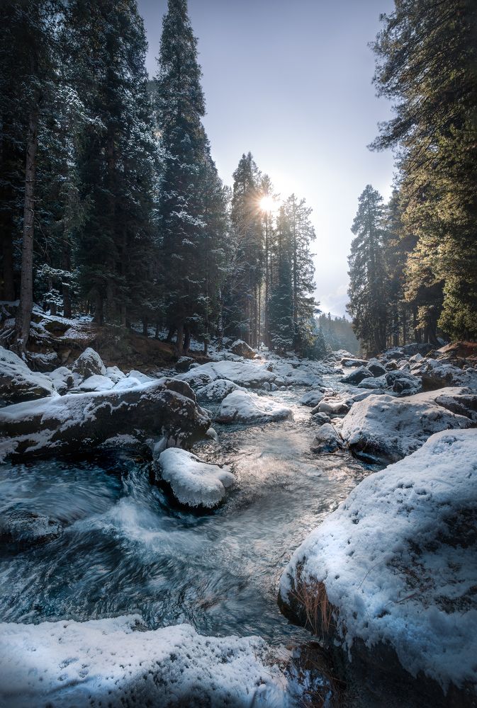 Photograph by Ranit Dholey