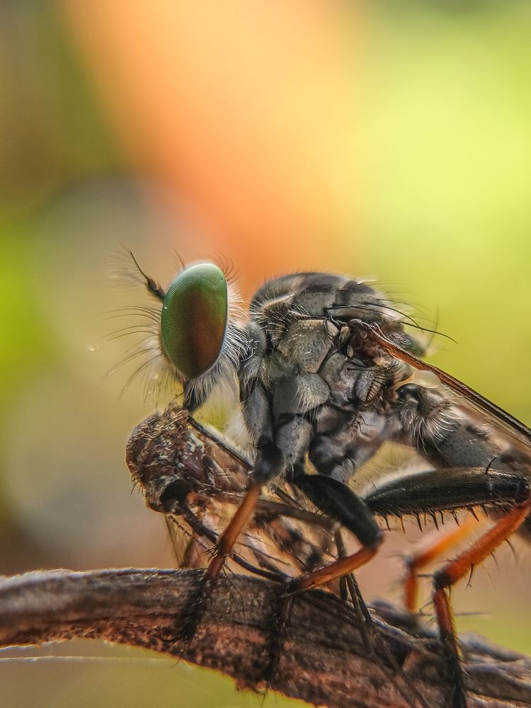 Photograph by GOVIND VISWANATH