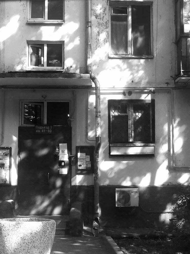 Photograph by Полина