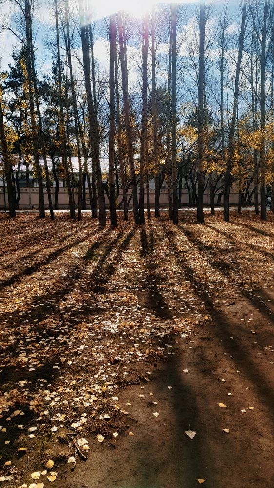 Фотография автора Морозова Анна