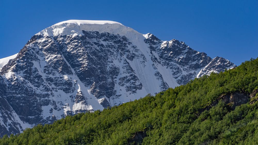 Зима и лето