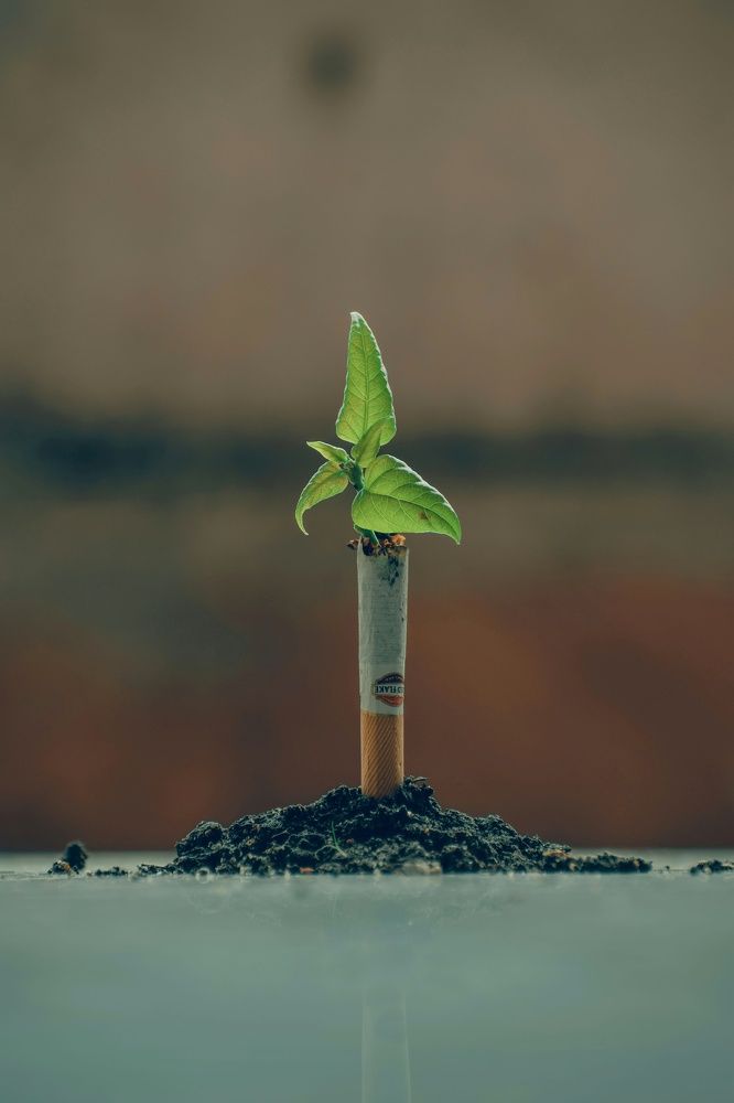 Photograph by Sayan Sahoo