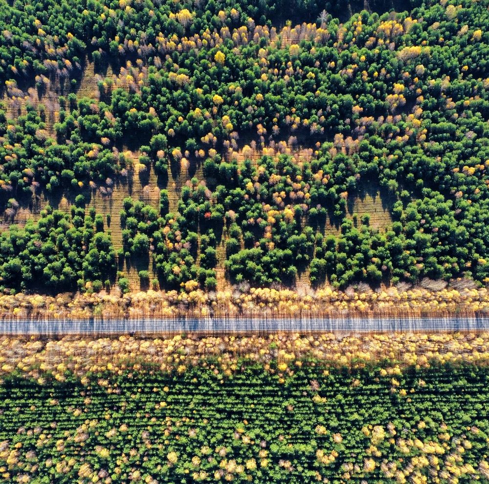 Photograph by Вячеслав