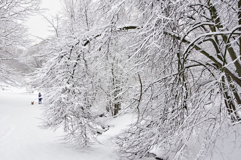 Photograph by Алексей Бородинов