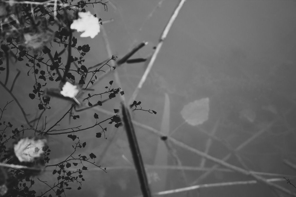 Photograph by Оксана Пидоря