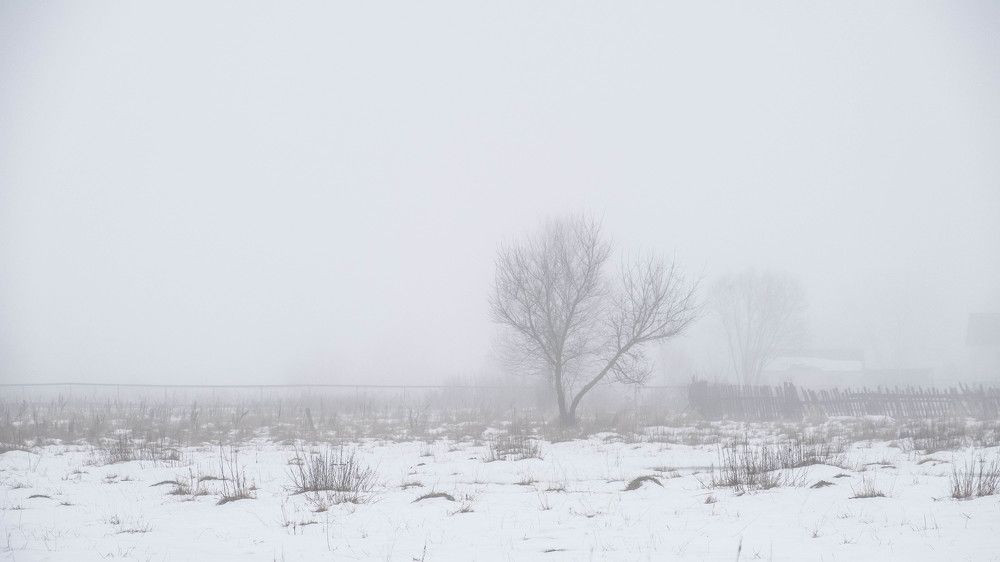 Photograph by Василий