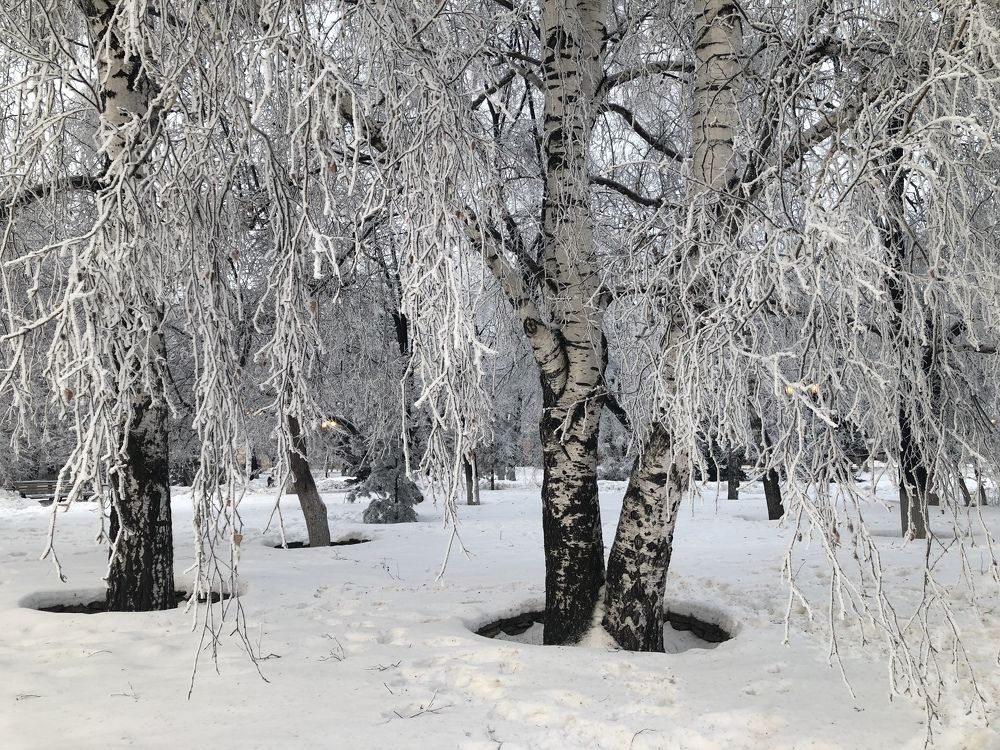 Photograph by Anna Gapanovich