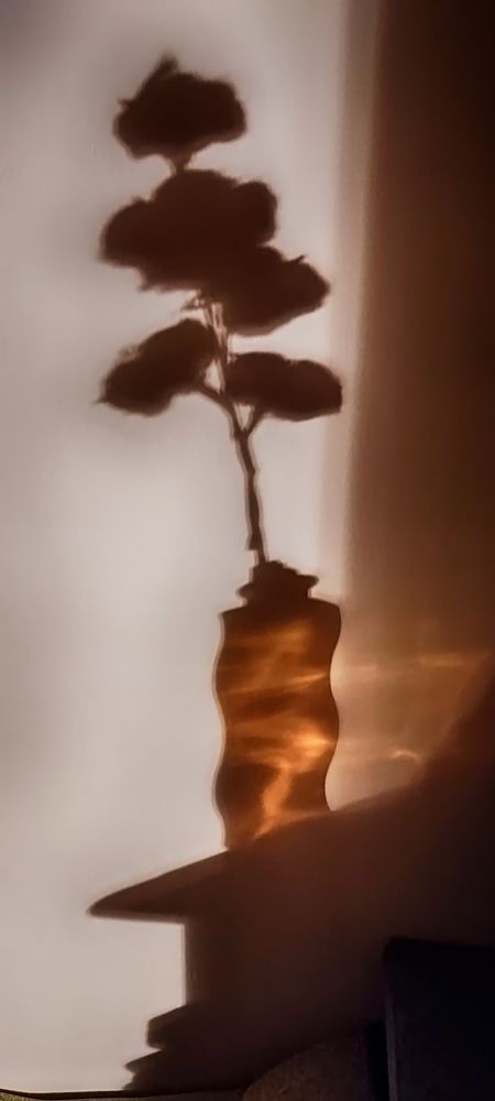 Фотография автора Юлия Кранина