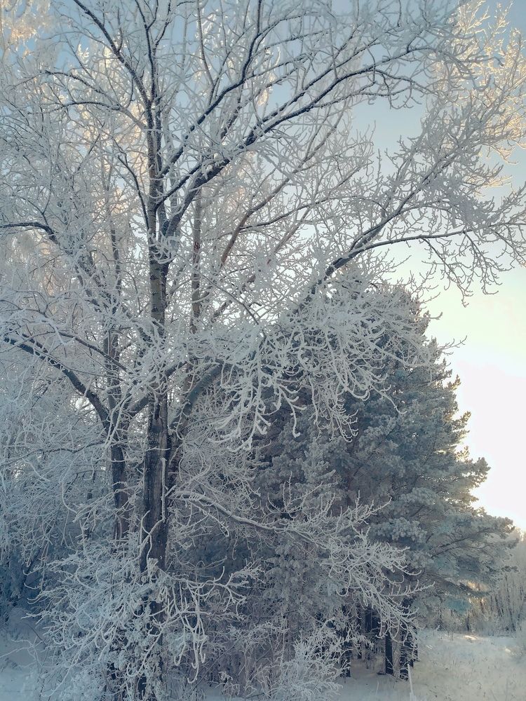 Photograph by Мария