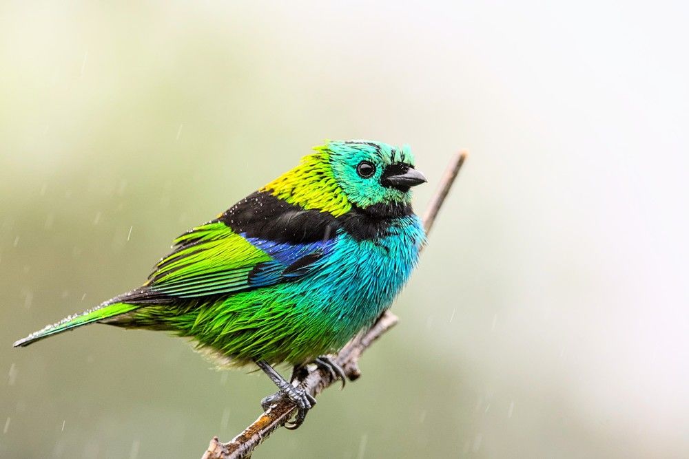 Photograph by Eduardo Bom