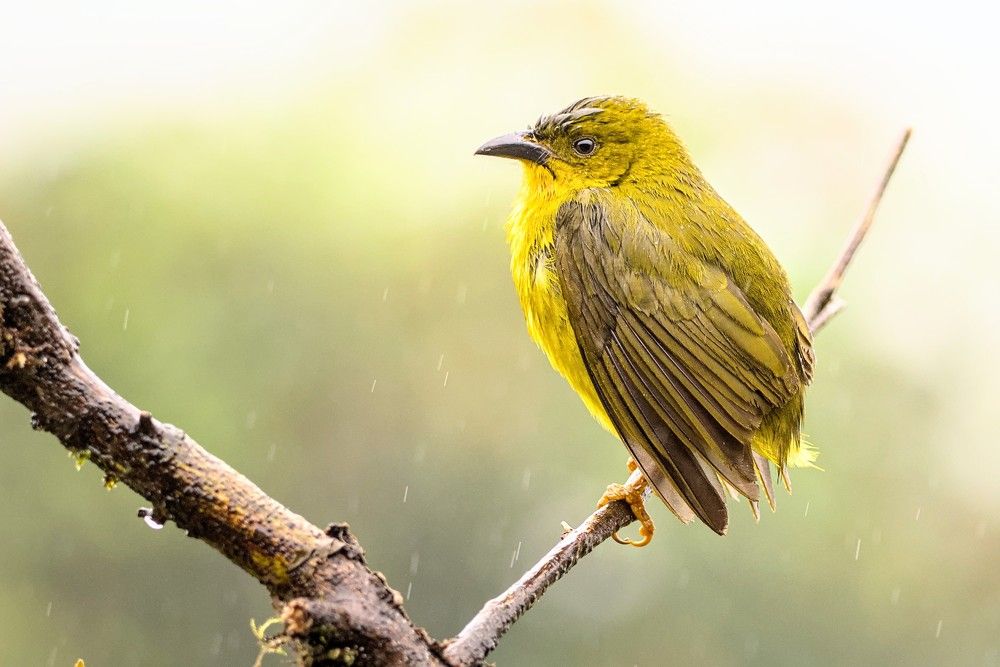 Photograph by Eduardo Bom