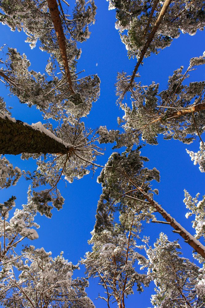 Photograph by Alena Rybakova