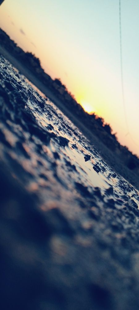 Photo #8586529
