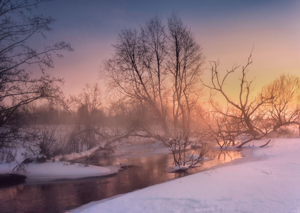 Photograph by Andrew Kuzmin