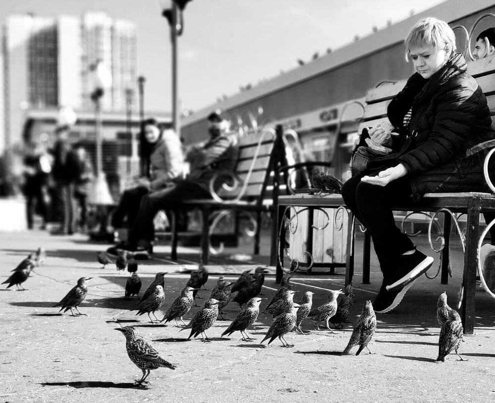 Photograph by Наталья Болотенков