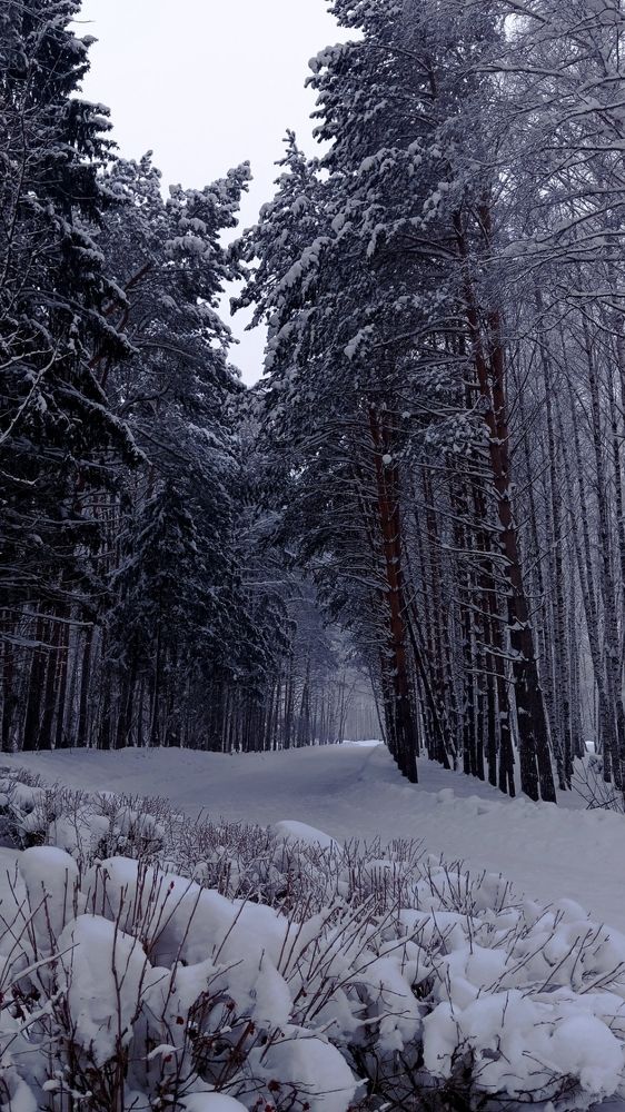 Photograph by Анастасия Николаева