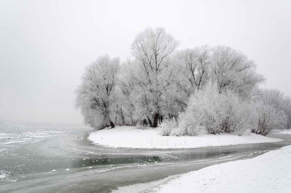 Photograph by Maja Tomić