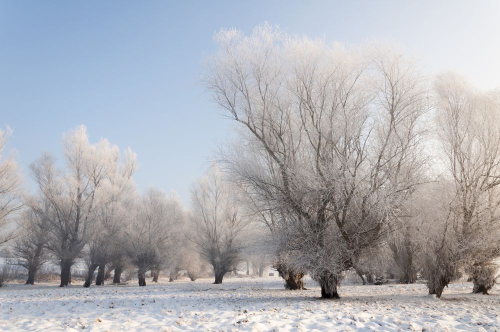 Photograph by Maja Tomić