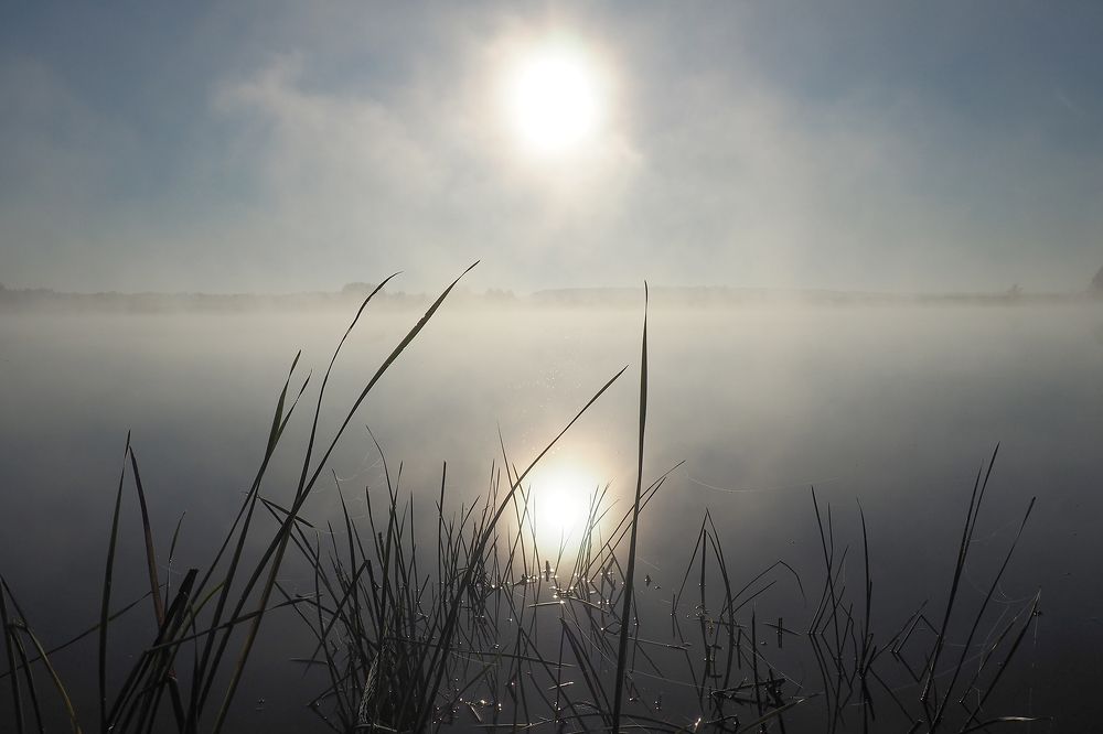 Двойное солнце