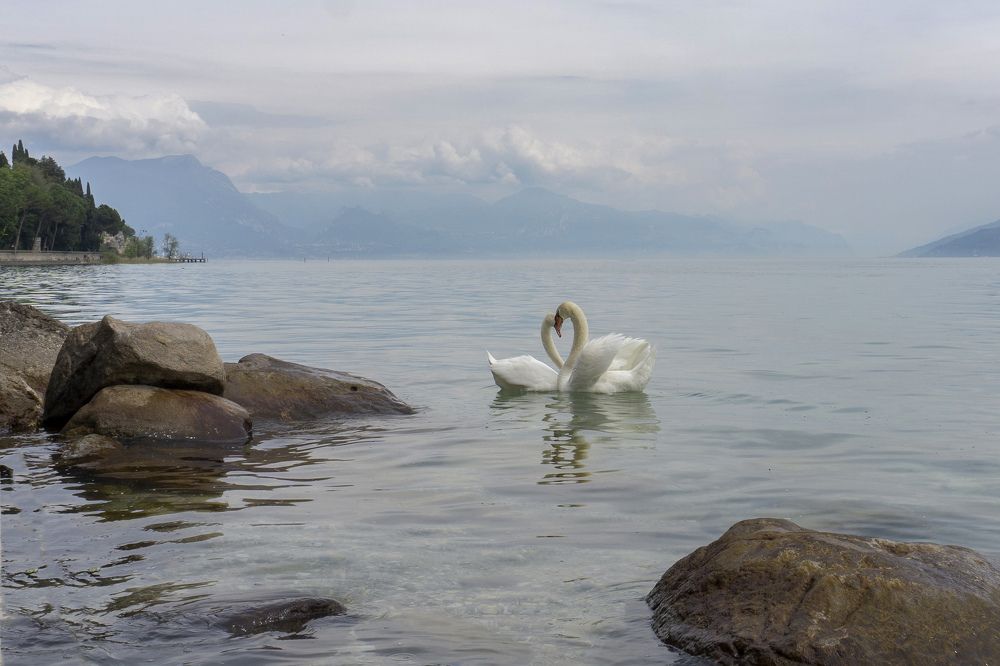 Photograph by Елена Никонова