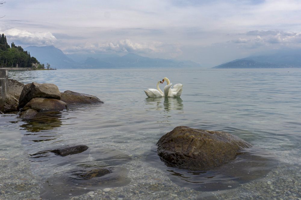 Photograph by Елена Никонова