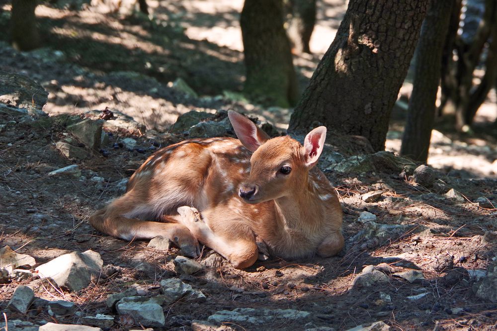 Photograph by Елена Щитова