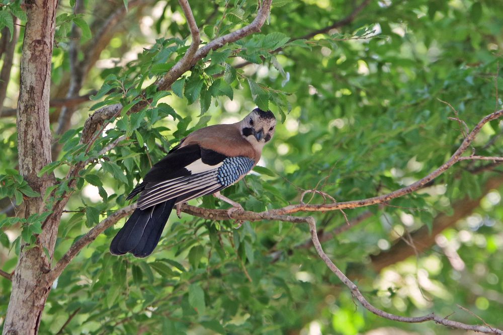 Photograph by Елена Щитова