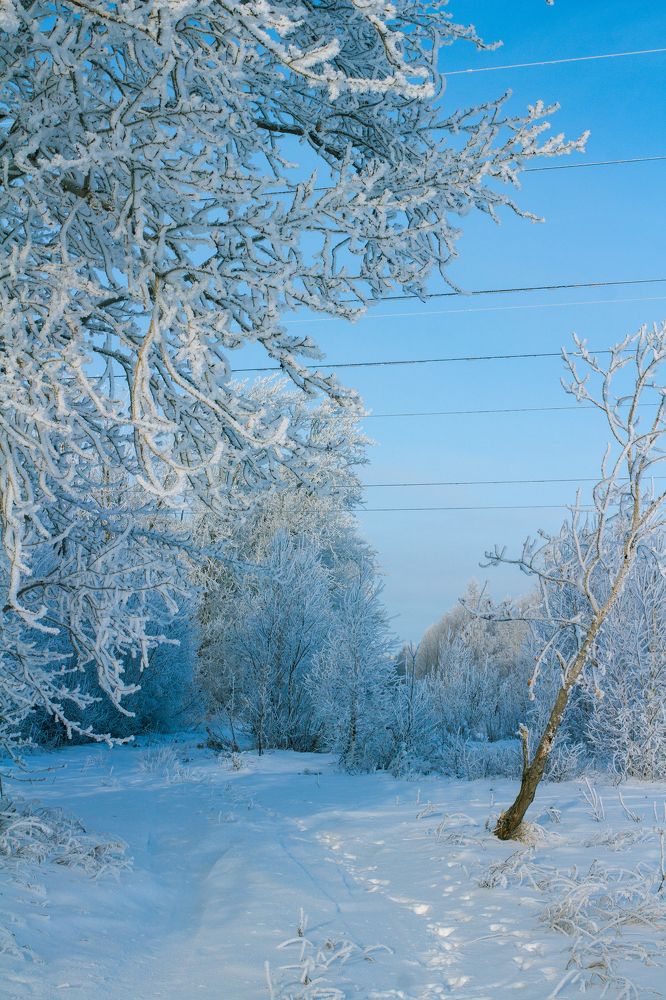 Photograph by Яна Кондрак