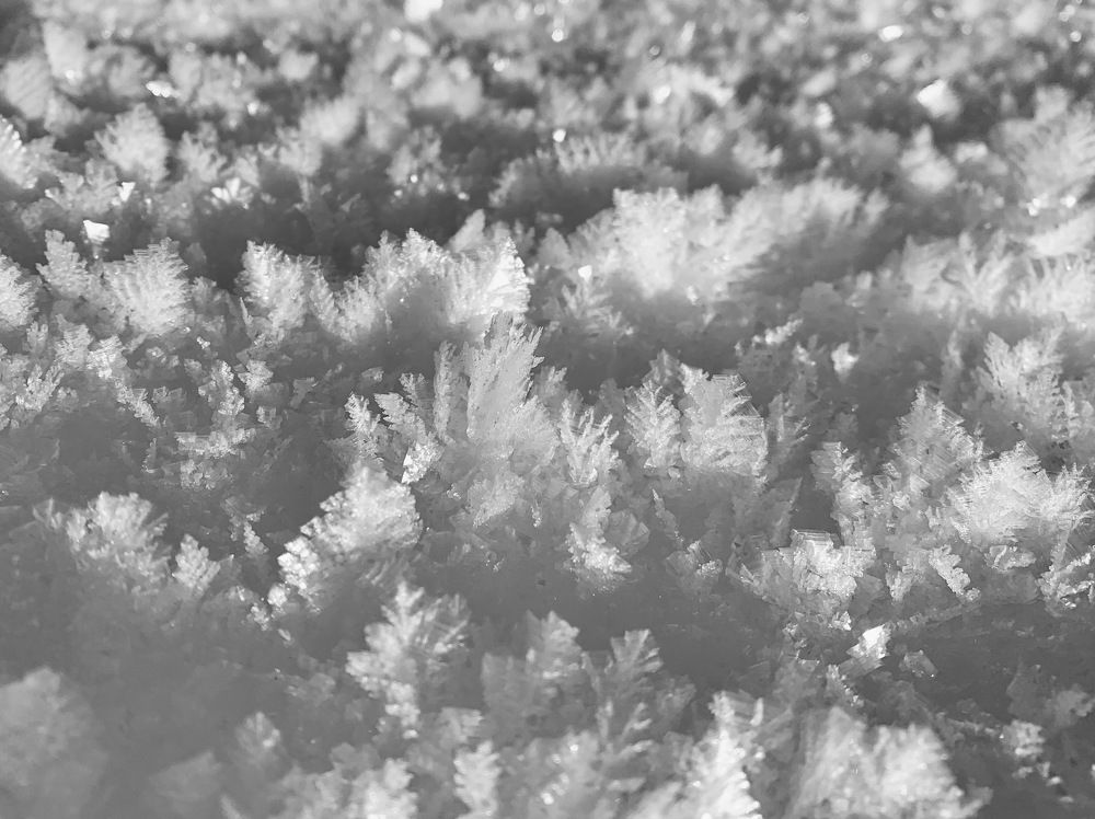 Photograph by Irina Andrienko