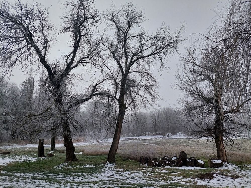 Photograph by Рудова Ксения