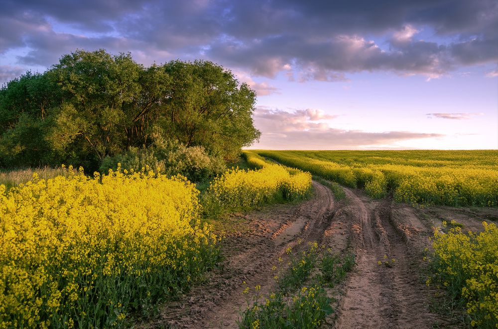 Фотография автора Andrew Kuzmin