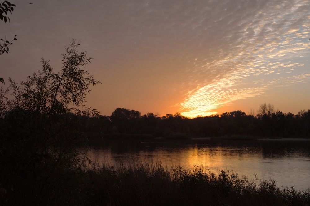 Фотография автора Медведев Сергей