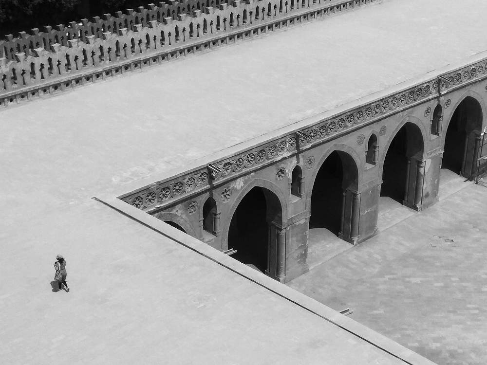 Photograph by Ahmed hesham