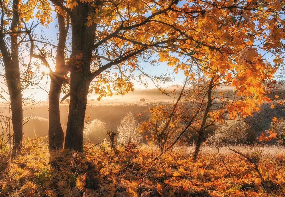 Фотография автора Andrew Kuzmin