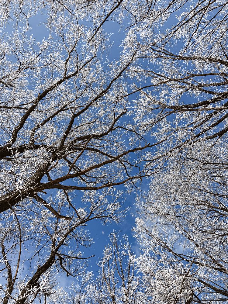 Photograph by Олена Уманцева