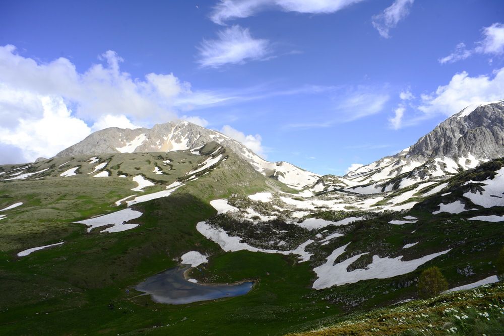 Фотография автора Медведев Сергей