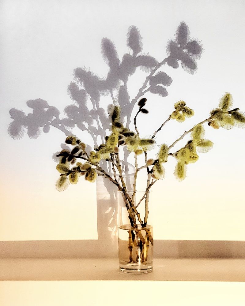 Photograph by Анна Чичилова