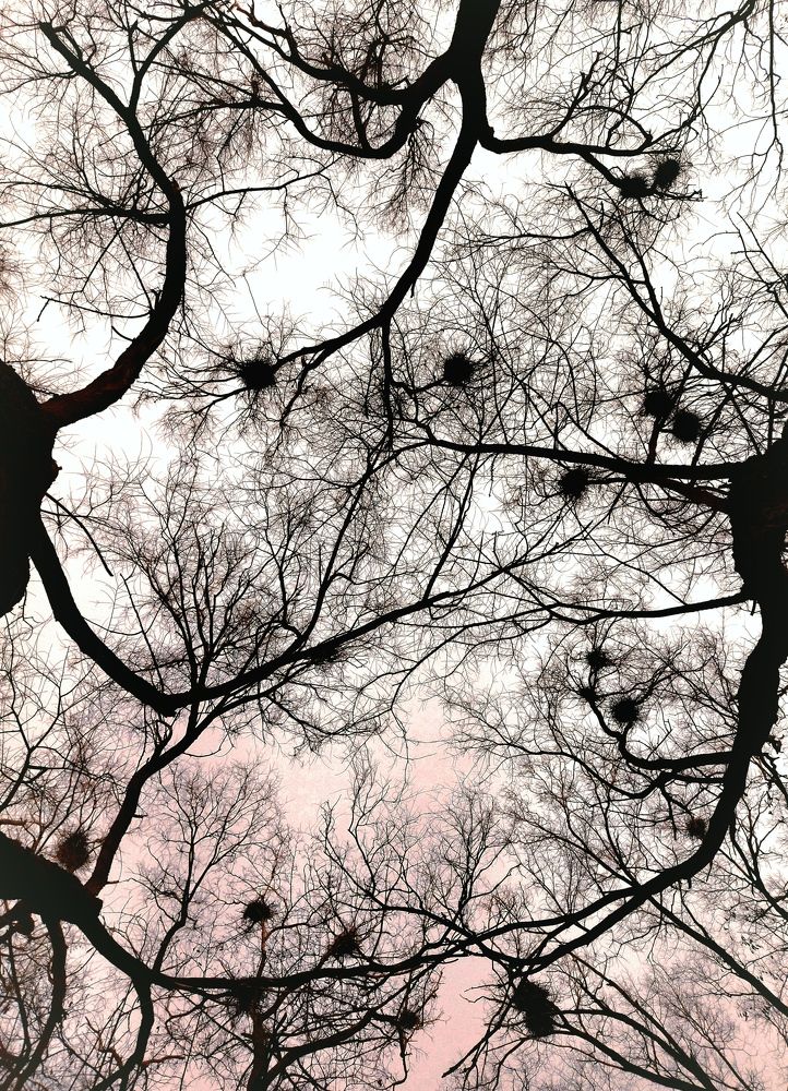 Photograph by Олеся Белова