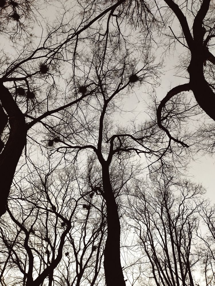 Photograph by Олеся Белова