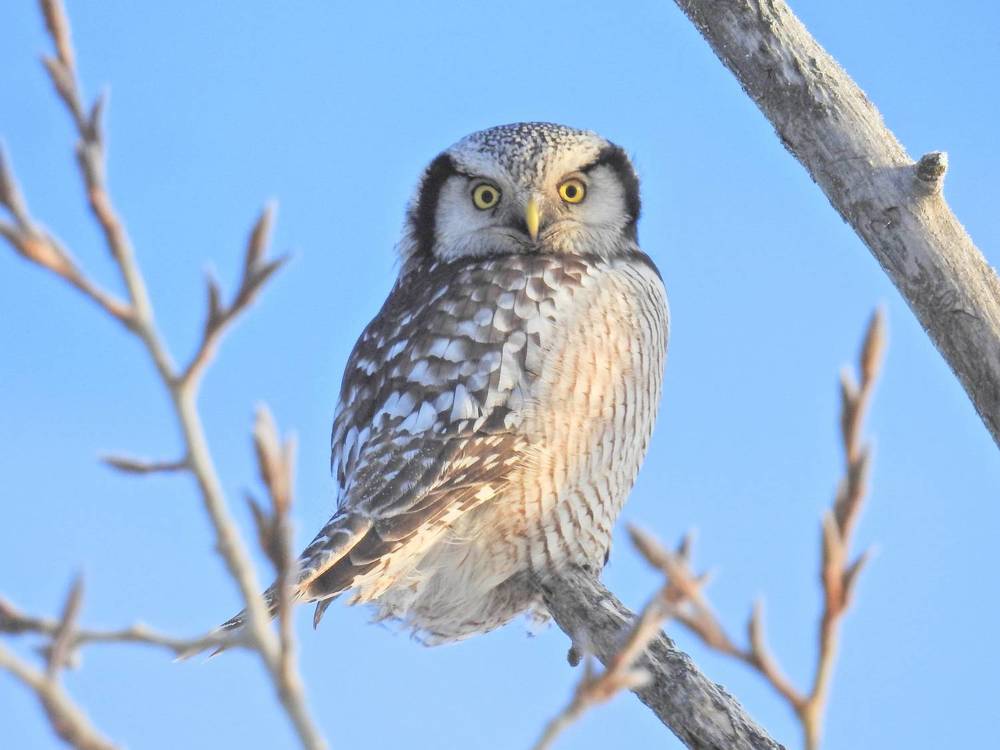 Photograph by Игорь Степанов