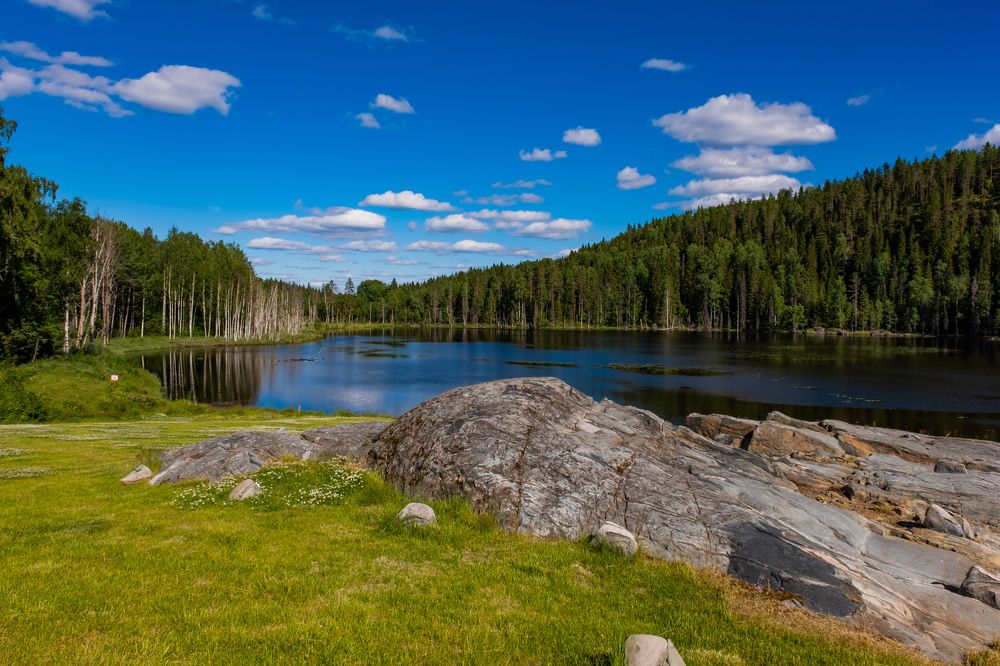 Photograph by Артём Селезнёв