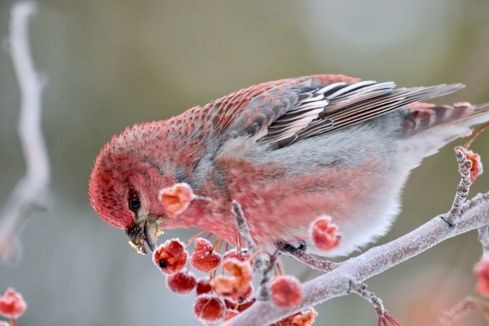 Photograph by Ирина Лисовец