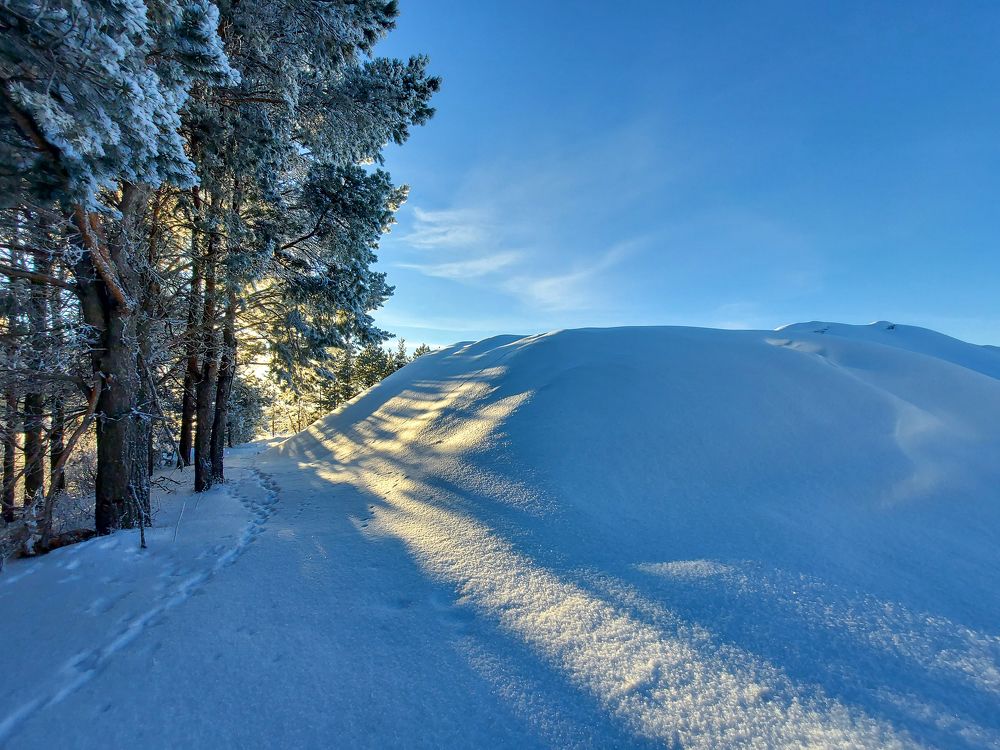 Photograph by Игорь Степанов