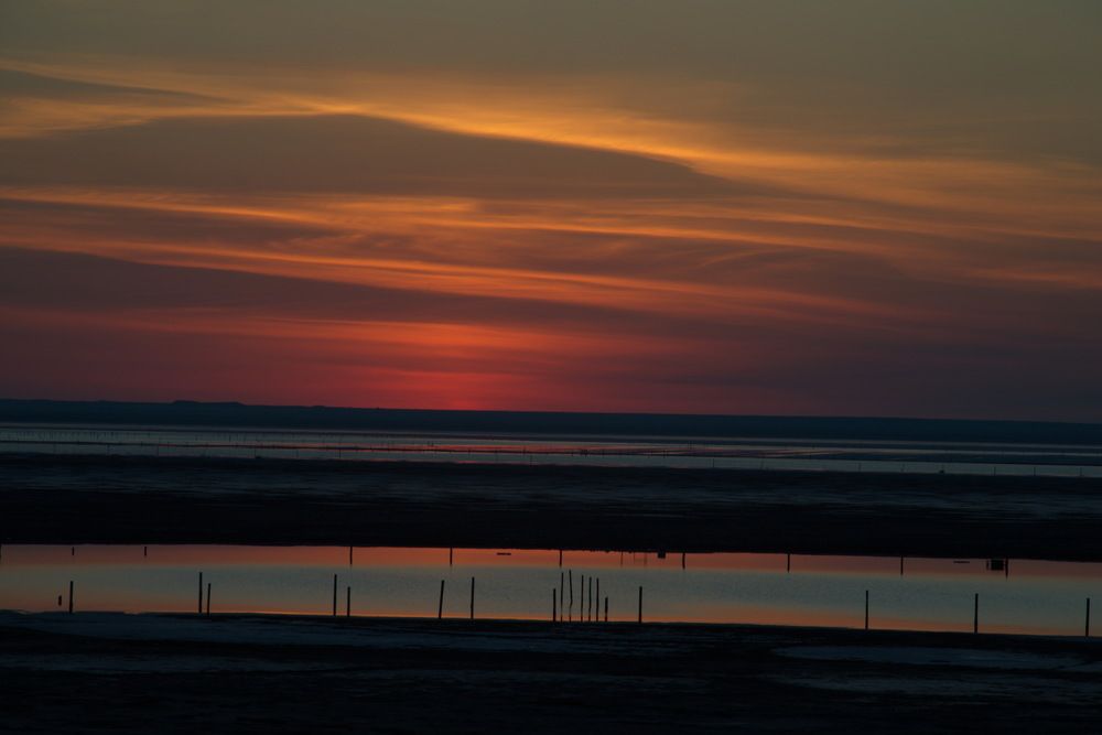 Фотография автора Медведев Сергей