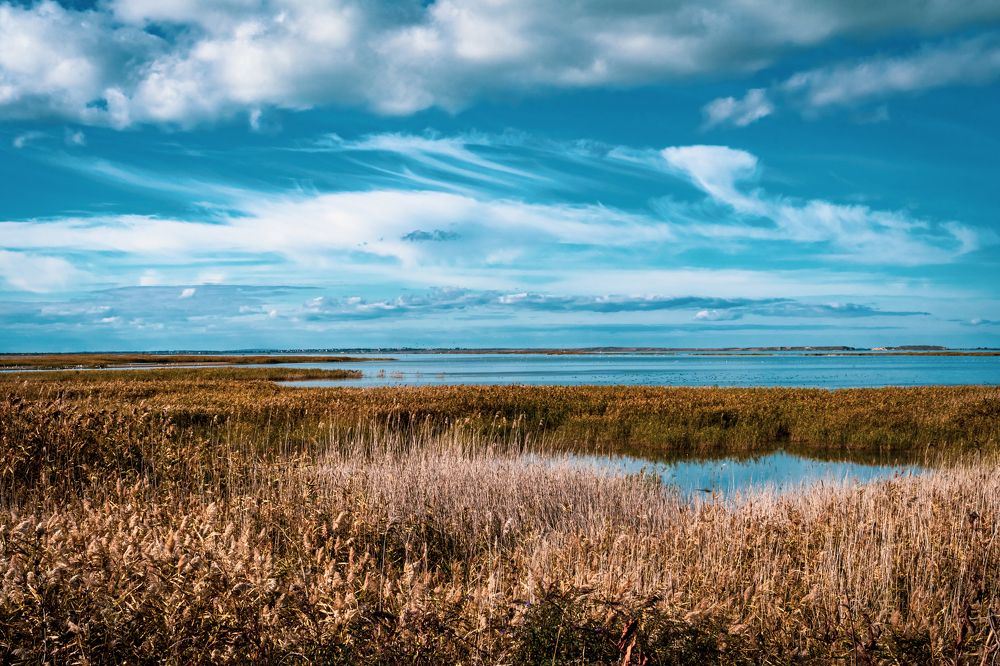 Фотография автора Natallia Kirpichova