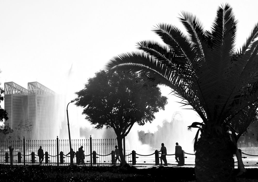 Photograph by bilal bilal