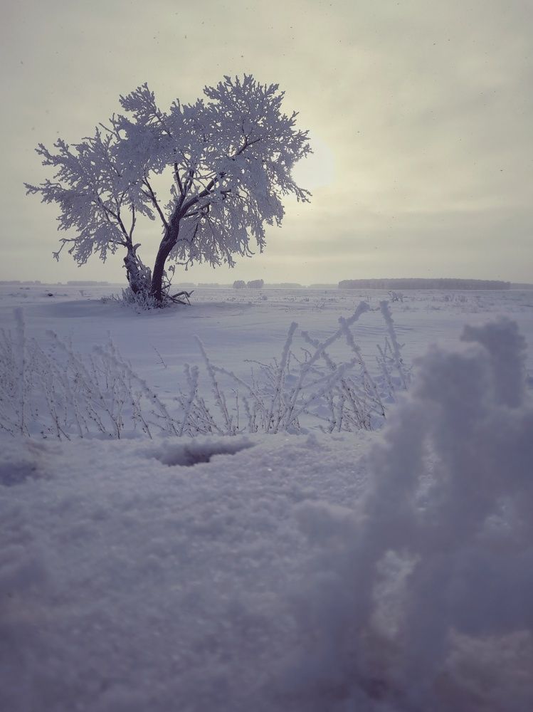 Photograph by Алёна Герк