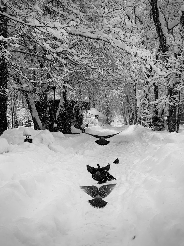 Photograph by Татьяна Семёнова